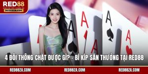 4 đôi thông chặt được gì