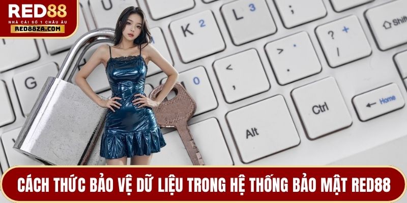 Cách thức bảo vệ dữ liệu trong hệ thống bảo mật RED88